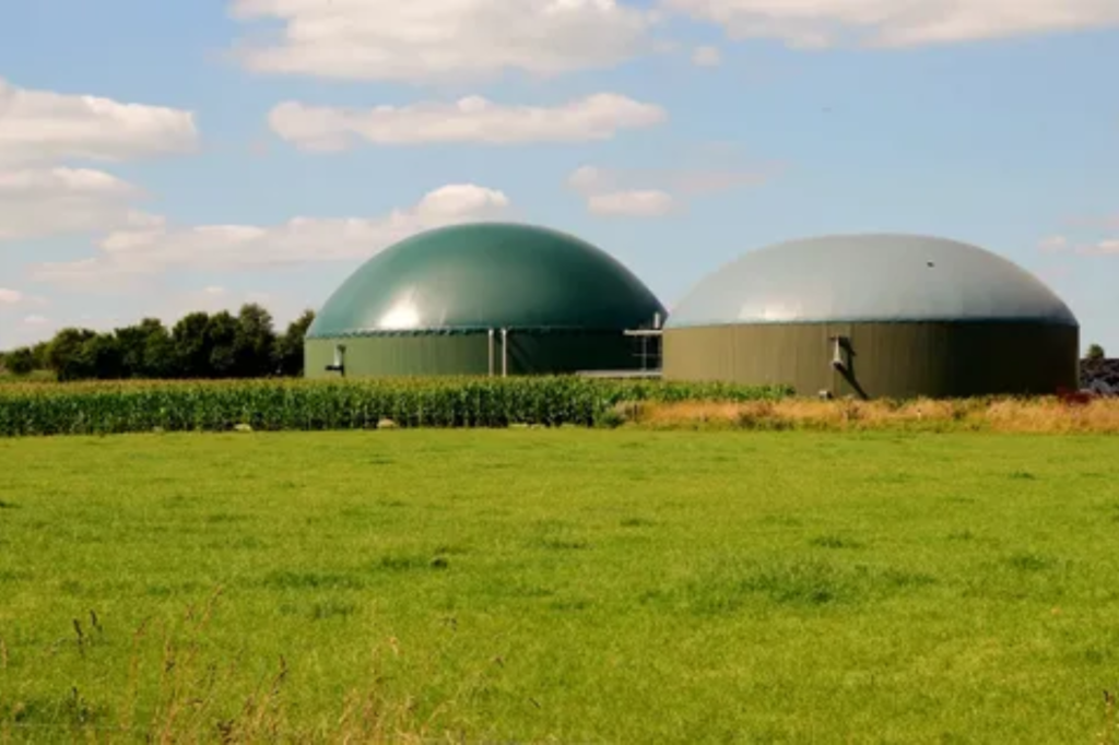 Biogas vs. Other Renewable Energy Sources: A Comparative Analysis