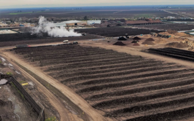 Challenges and Solutions in Large-Scale Composting Operations
