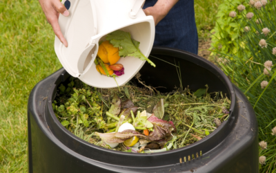 Economic and Environmental Benefits of Community-Wide Composting Programs