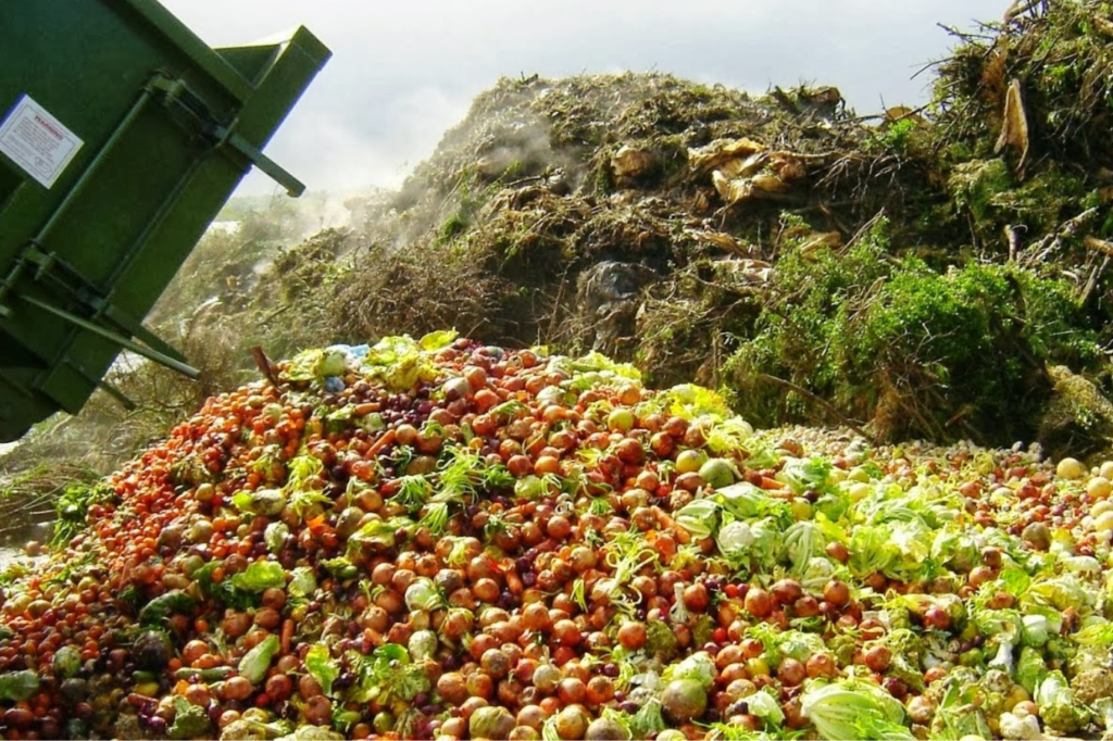 Global Perspectives on Organic Waste Management