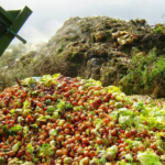 Global Perspectives on Organic Waste Management