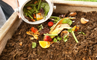 How Composting Can Boost Community Gardens and Local Food Production