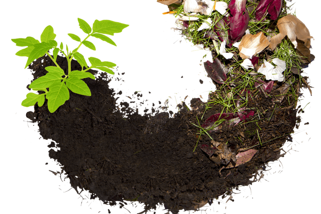 Creating Sustainable Landscapes: The Long-Term Benefits of Composting for Large Societies