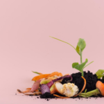 Composting for Climate Resilience How Compost Helps Mitigate Climate Change