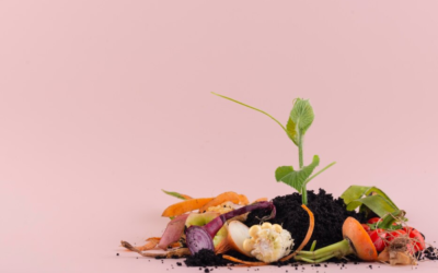 Composting for Climate Resilience How Compost Helps Mitigate Climate Change